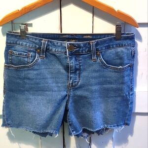 Seven7 Women's Cutoff Denim Jean Shorts | Size 8